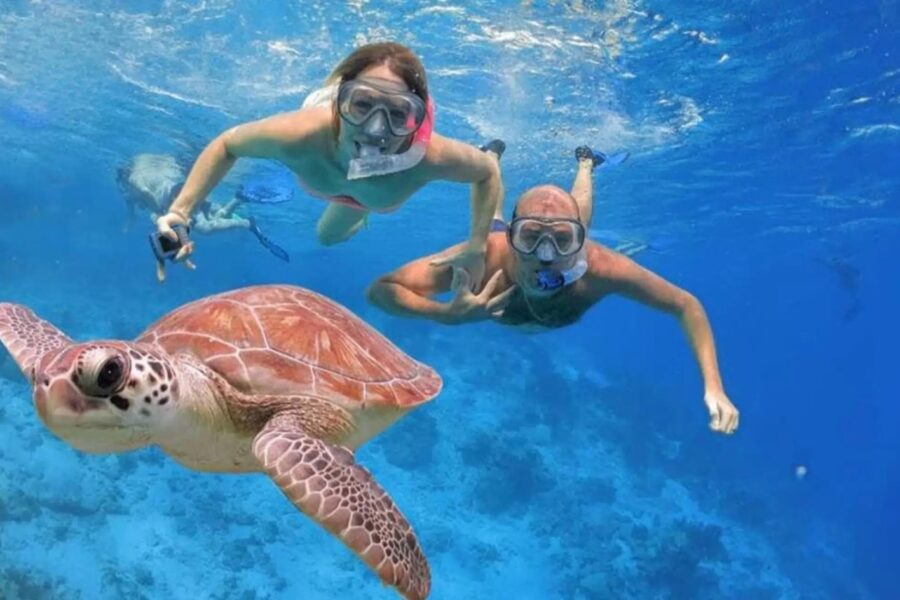 Excursie de Snorkeling la Insulele Hamata din Marsa Alam