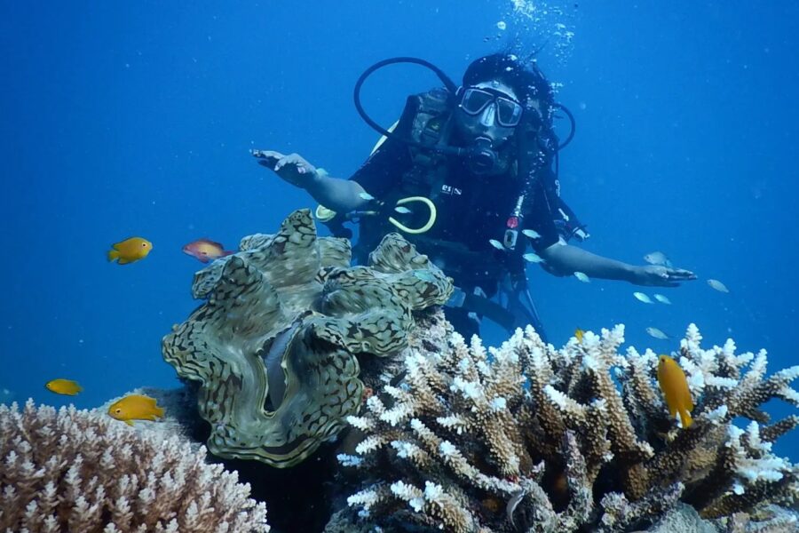 Pești tropicali în jurul recifului de corali