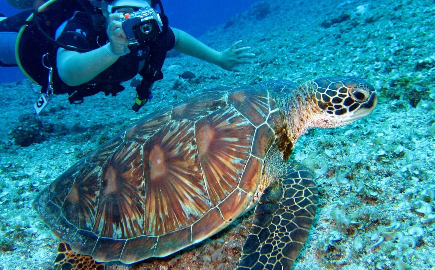 Echipament de snorkeling la bordul unei bărci