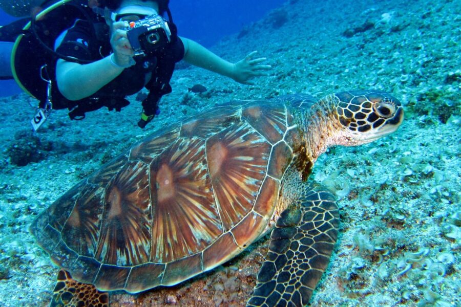 Echipament de snorkeling la bordul unei bărci