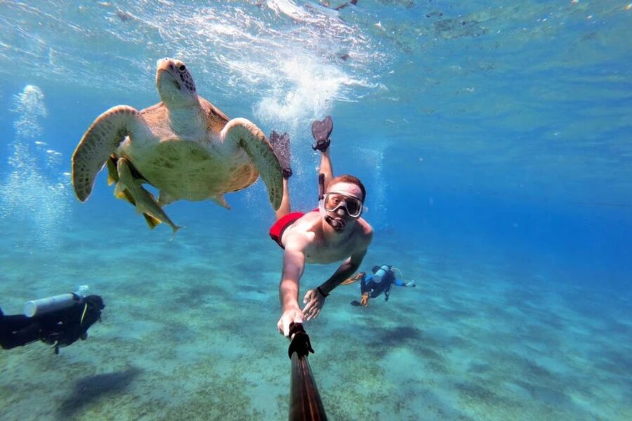 Snorkeling în Marsa Mubarak din Marsa Alam