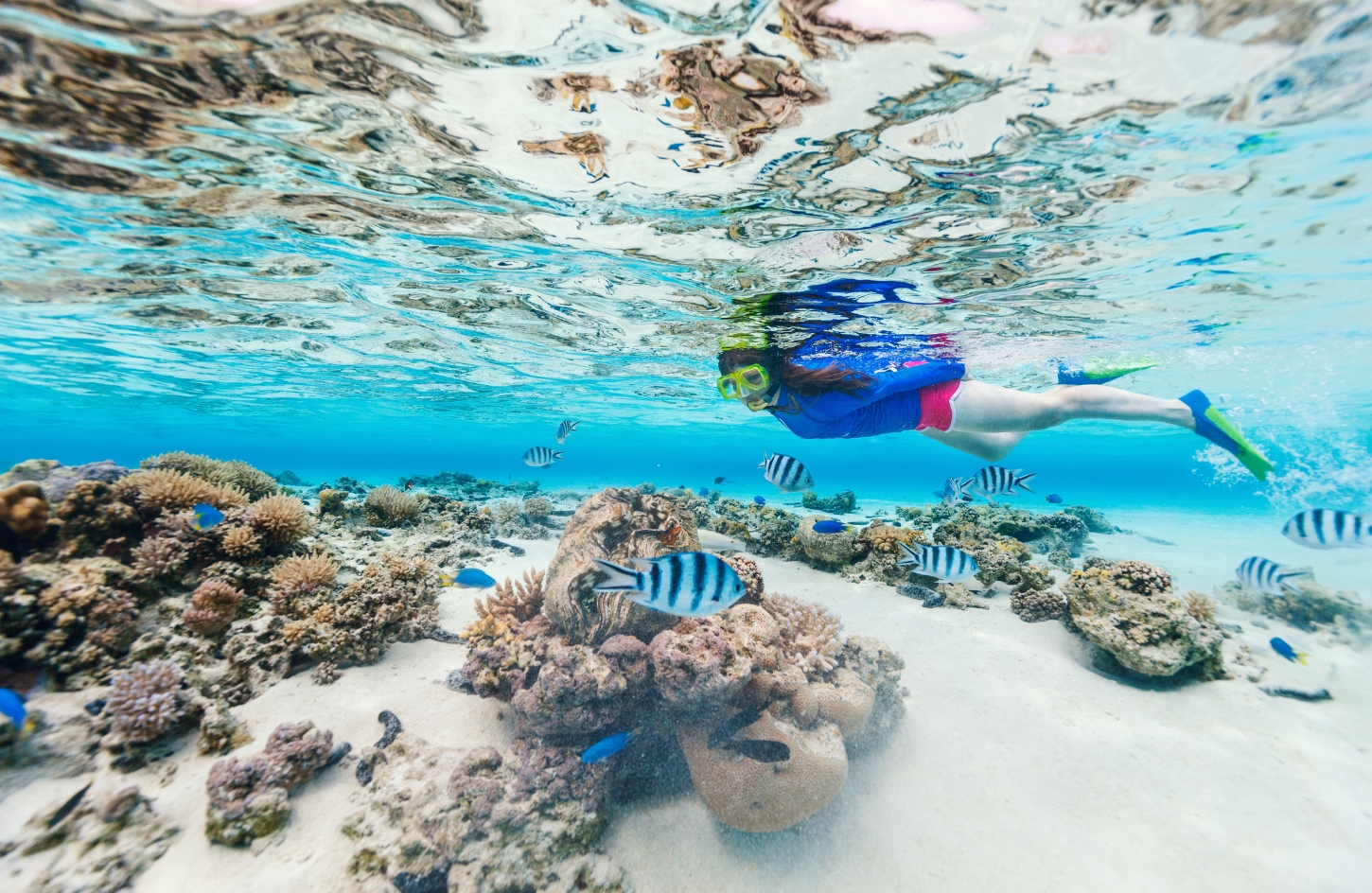 Snorkeling & insule